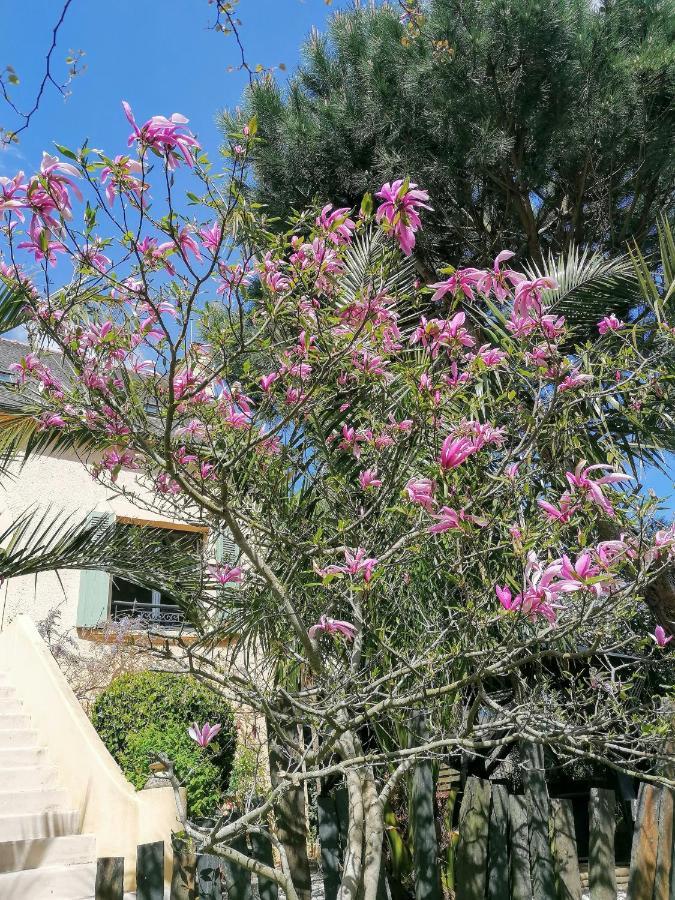Guest House Dans Jardin Exotique Proche D'Une Voie Verte มอร์เล ภายนอก รูปภาพ
